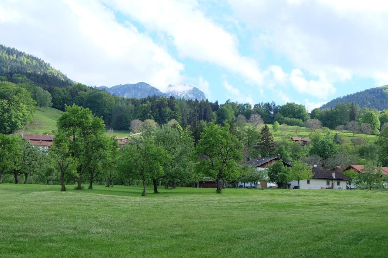 Am Jenbach Lägenhet Bad Feilnbach Exteriör bild