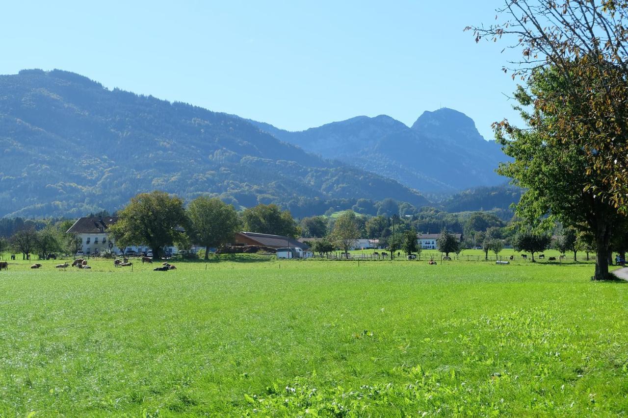 Am Jenbach Lägenhet Bad Feilnbach Exteriör bild